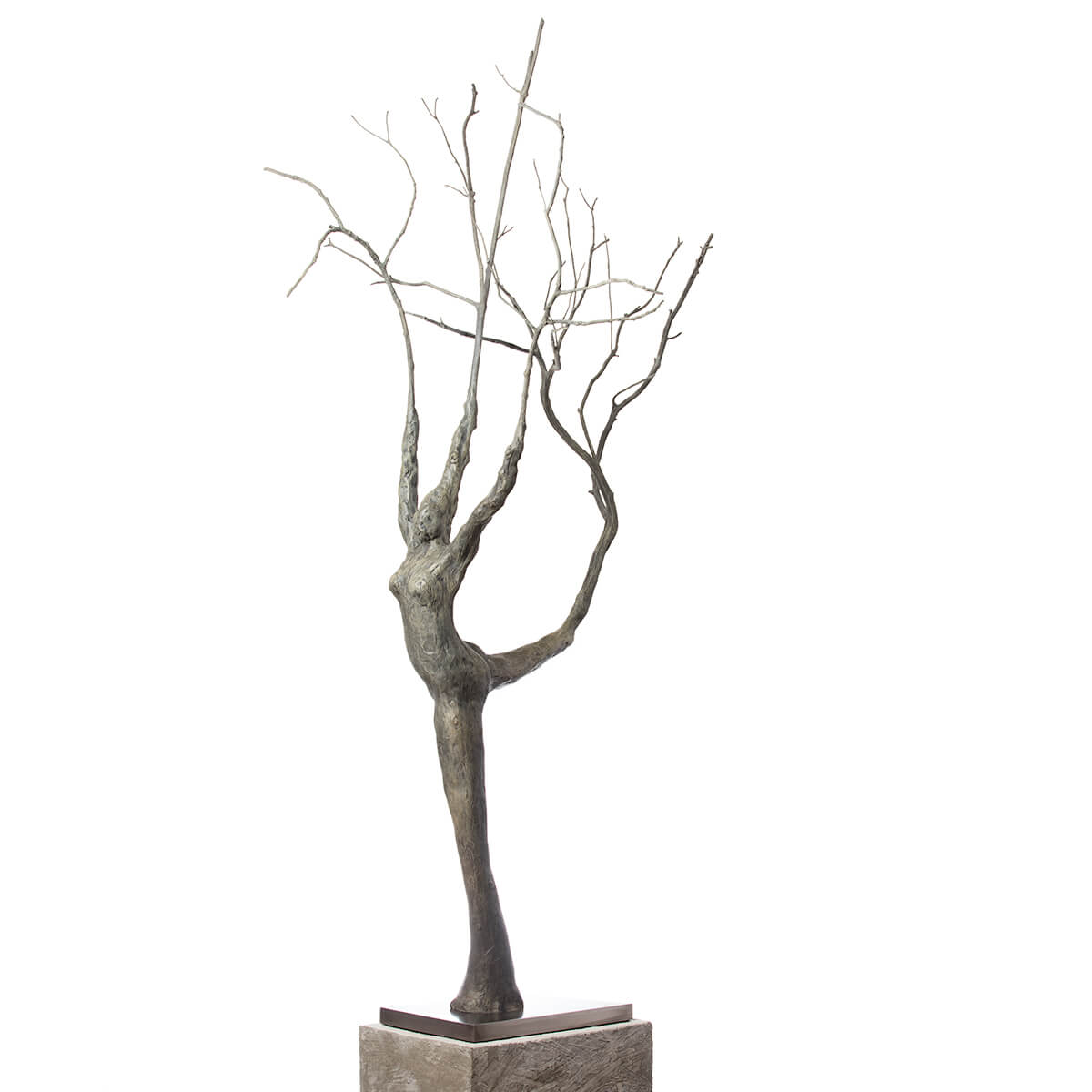 Robert-Helle-Sculpture-Gallery-Abstract-Lady-in-the-Tree-2-1200x1200