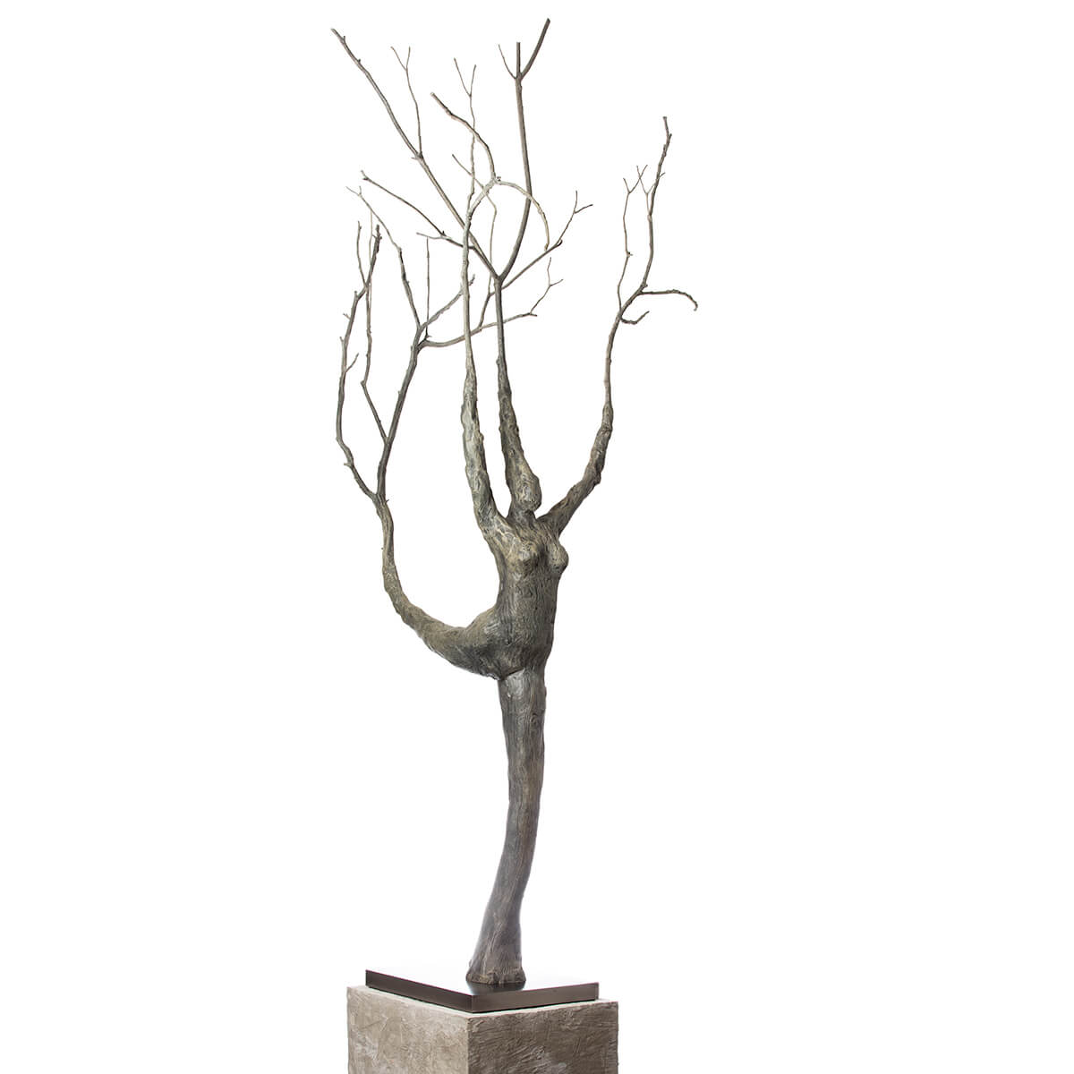Robert-Helle-Sculpture-Gallery-Abstract-Lady-in-the-Tree-3-1200x1200